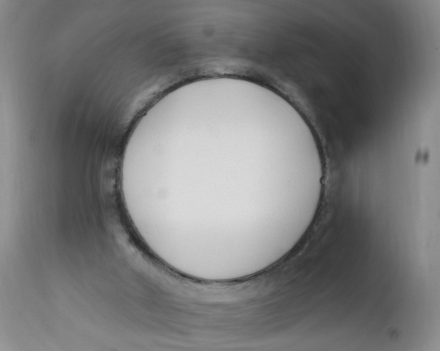 X0000112390010200909101422