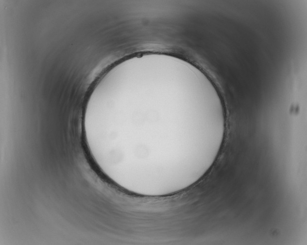 X0000112390011200909101422