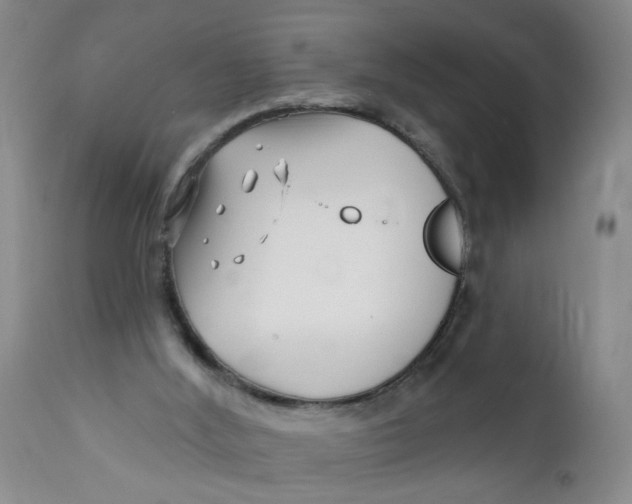 X0000112390012200909101422