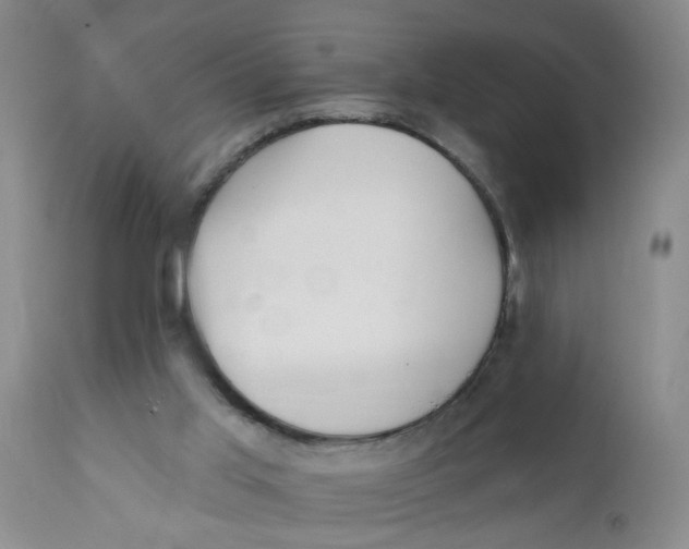 X0000112390013200909101422