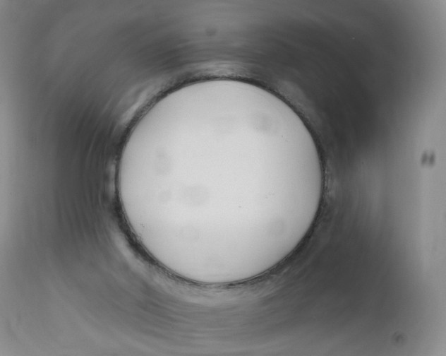 X0000112390014200909101422