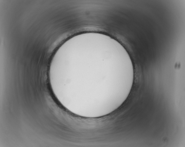 X0000112390015200909101422