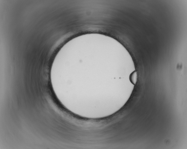 X0000112390016200909101422