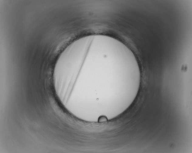 X0000112390018200909101422