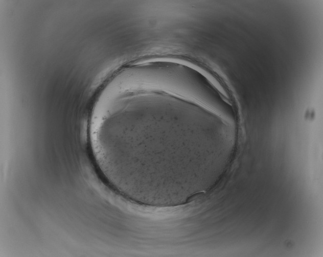 X0000112390019200909101422