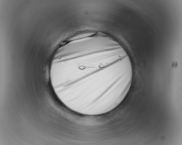 X0000112390020200909101422
