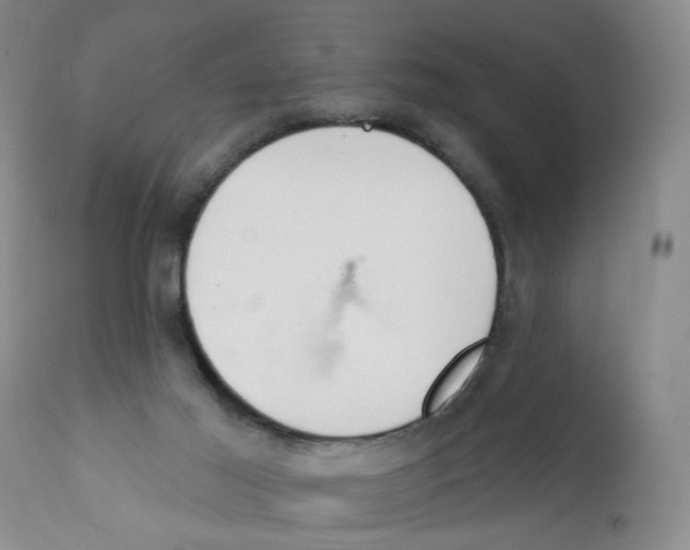 X0000112390021200909101422