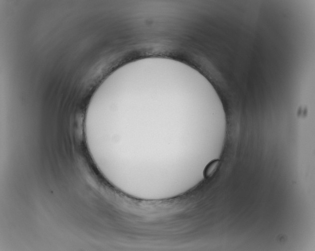 X0000112390022200909101422