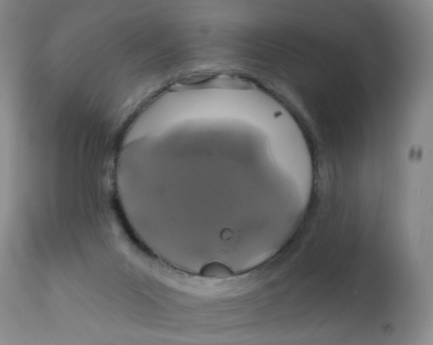 X0000112390023200909101422