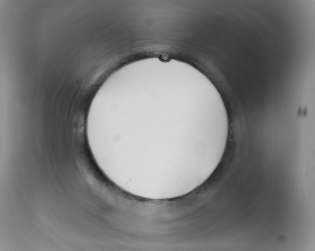 X0000112390024200909101422