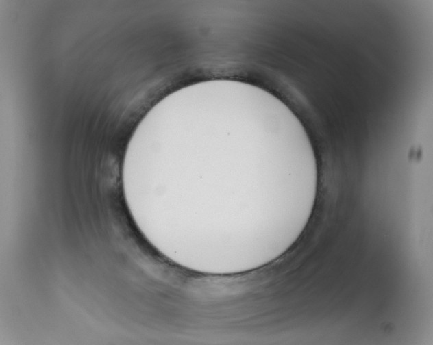 X0000112390025200909101422