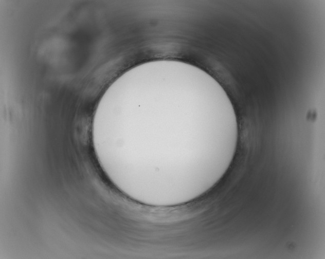 X0000112390026200909101422