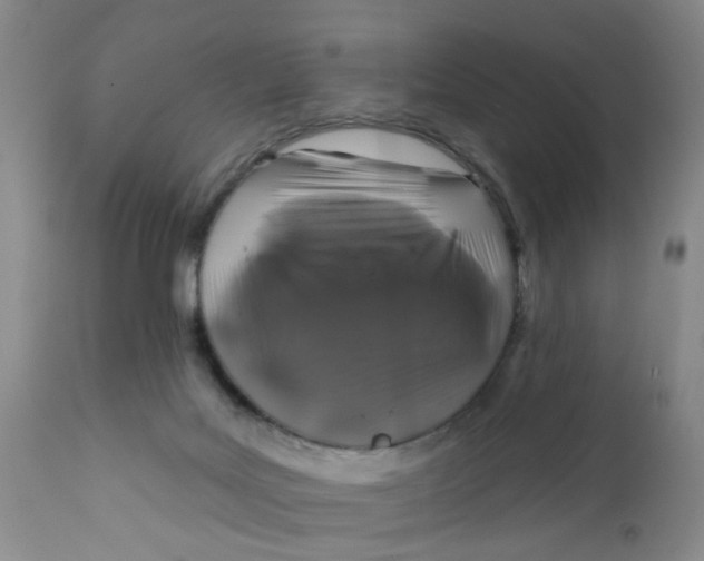 X0000112390027200909101422