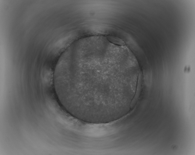 X0000112390029200909101422