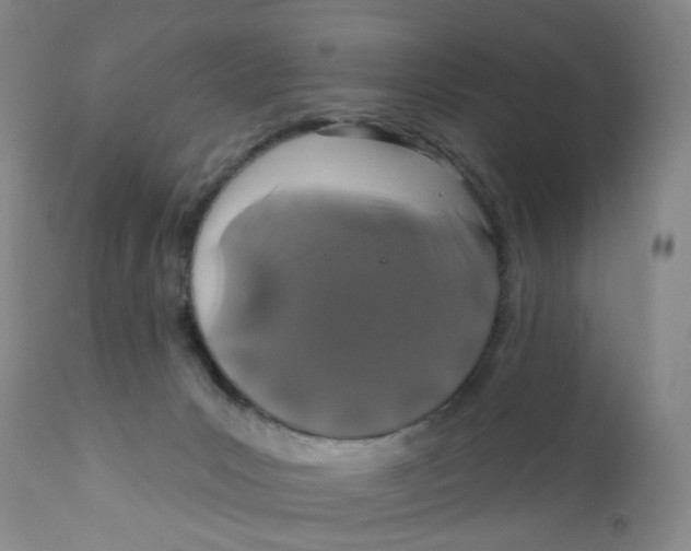 X0000112390031200909101422