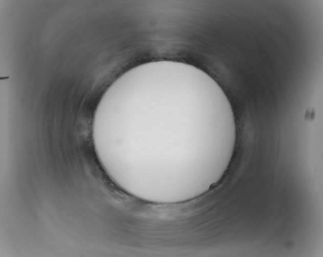 X0000112390033200909101422