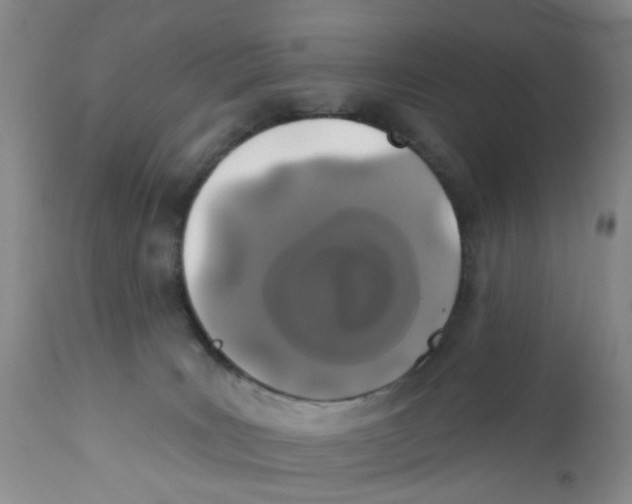 X0000112390035200909101422