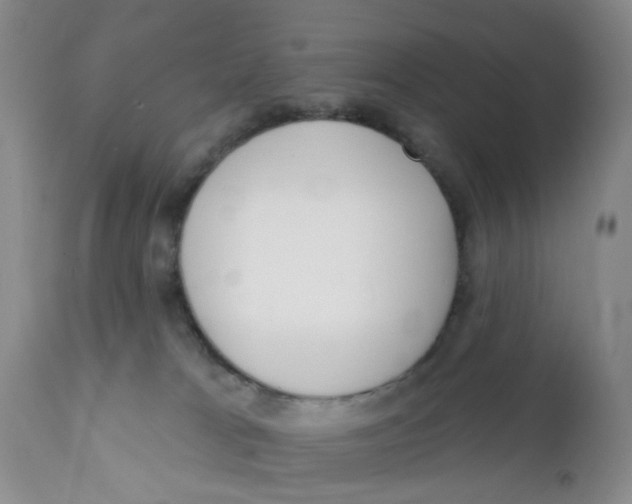 X0000112390037200909101422