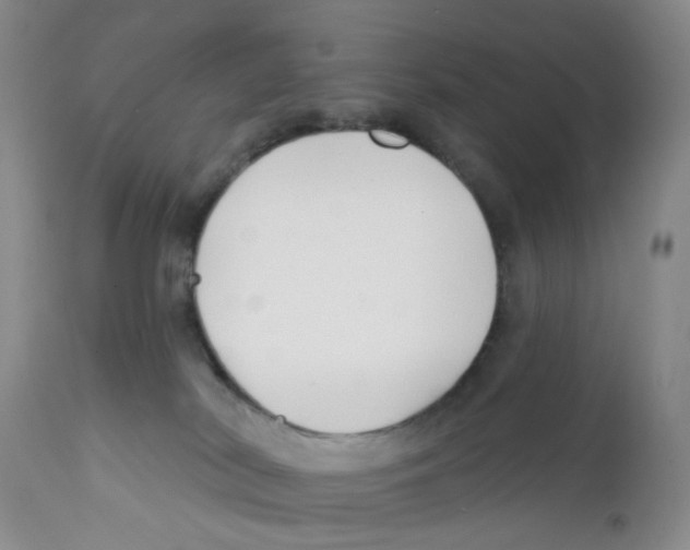 X0000112390038200909101422