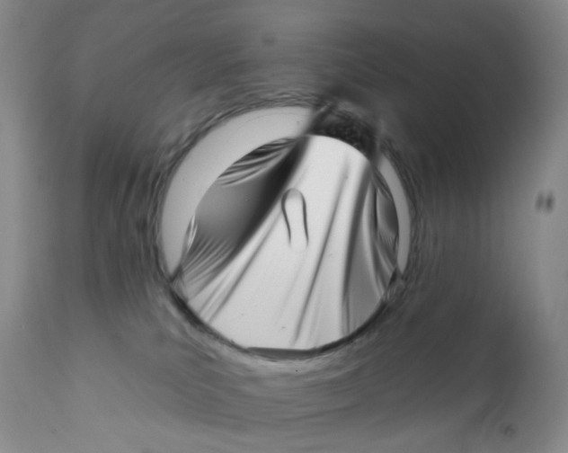 X0000112390039200909101422