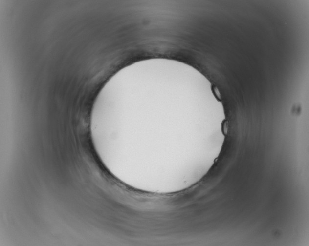 X0000112390040200909101422