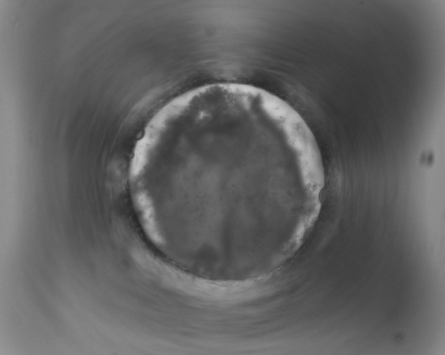 X0000112390043200909101422