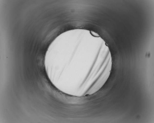 X0000112390044200909101422