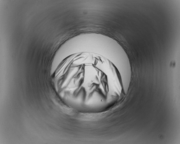 X0000112390045200909101422
