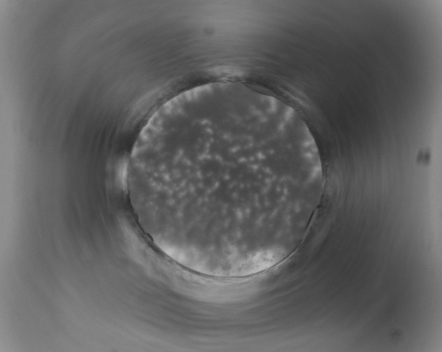 X0000112390047200909101421