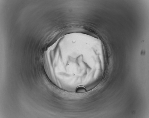 X0000112390048200909101421