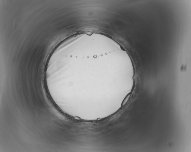 X0000112390049200909101421