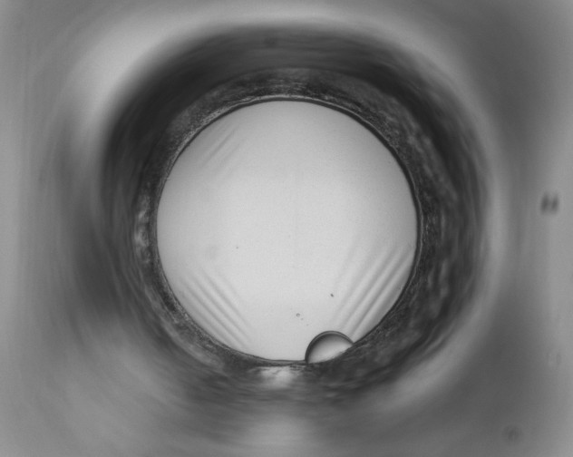 X0000112390050200909101421