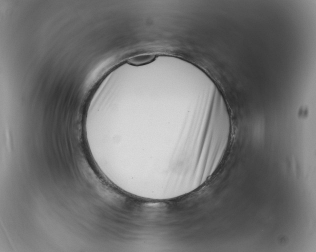 X0000112390053200909101421