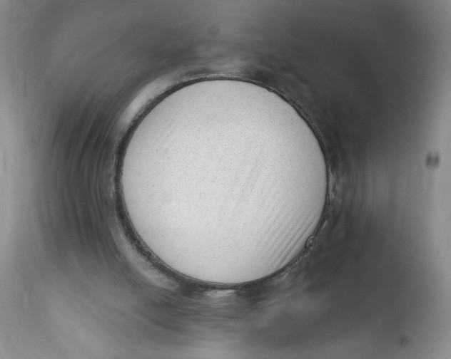 X0000112390054200909101421