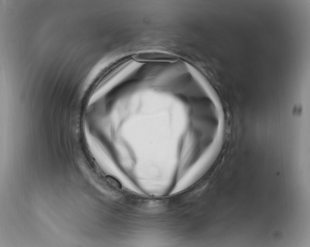 X0000112390056200909101421