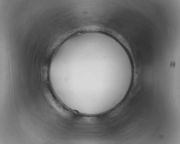 X0000112390057200909101421