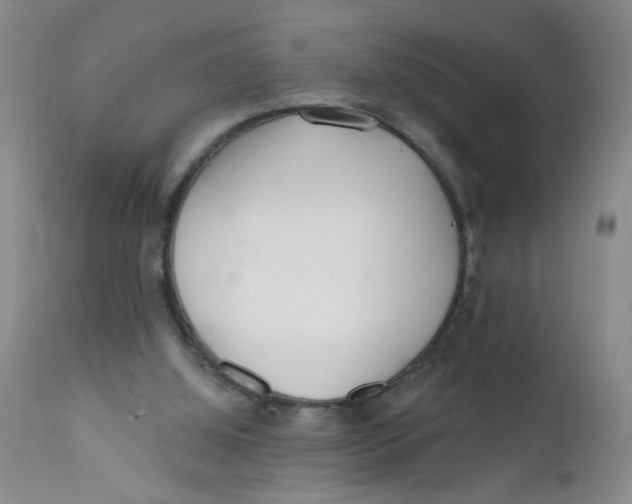 X0000112390060200909101421