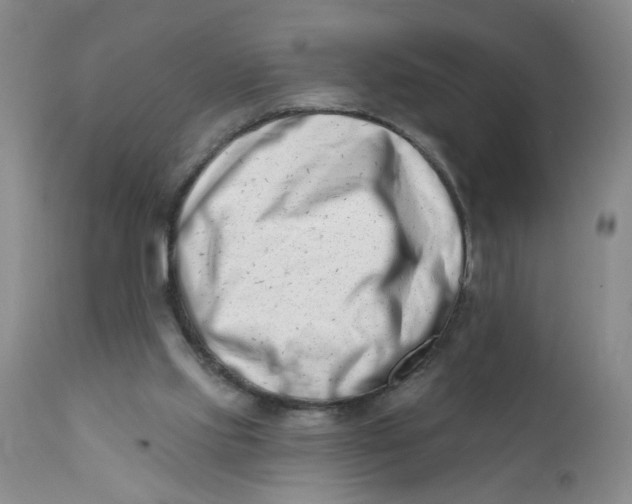 X0000112390061200909101421