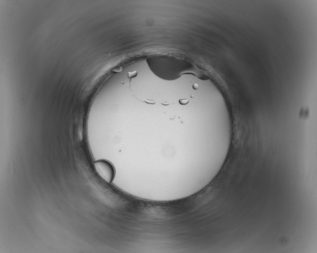 X0000112390062200909101421