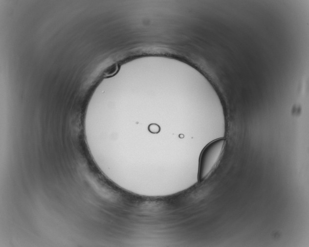 X0000112390063200909101421