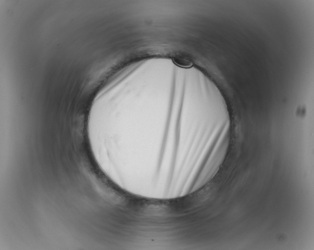X0000112390066200909101421