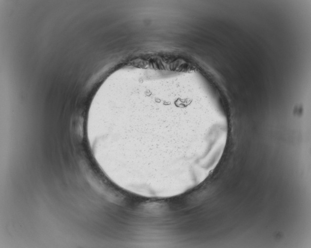 X0000112390067200909101421