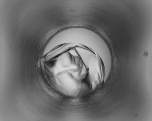 X0000112390068200909101421
