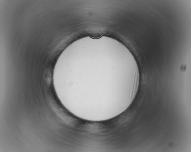 X0000112390069200909101421