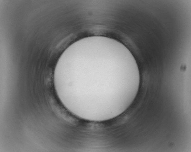 X0000112390073200909101421