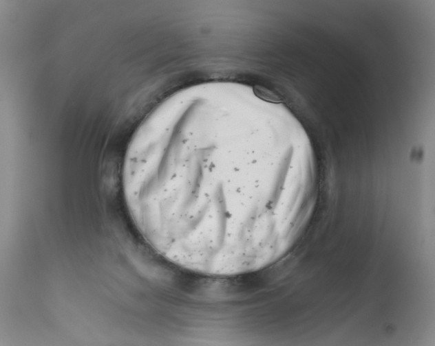 X0000112390074200909101421