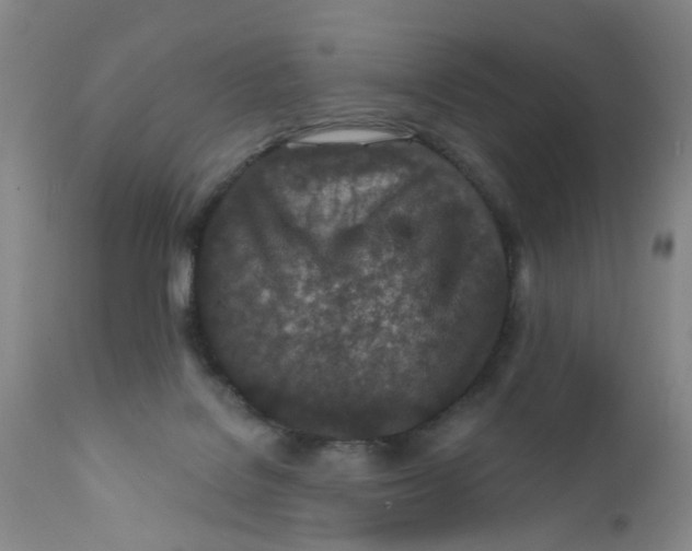 X0000112390076200909101421