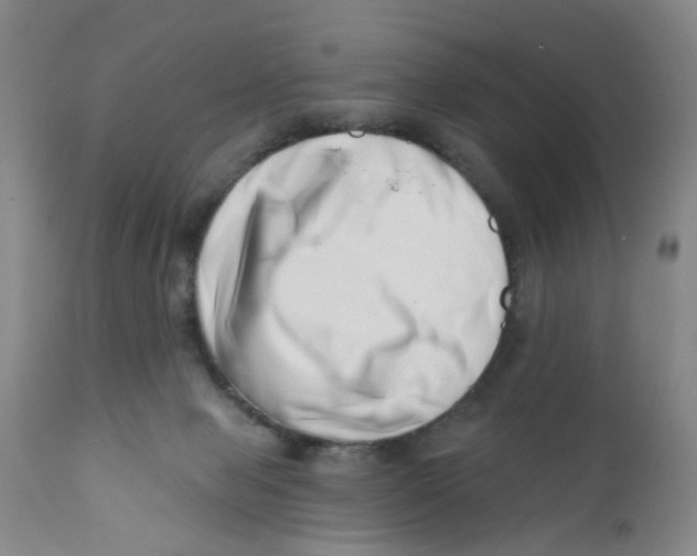 X0000112390077200909101421