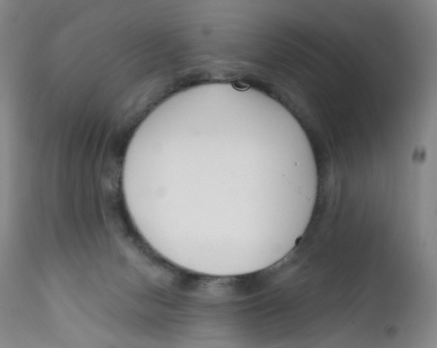 X0000112390078200909101421