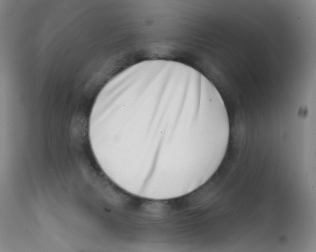 X0000112390079200909101421